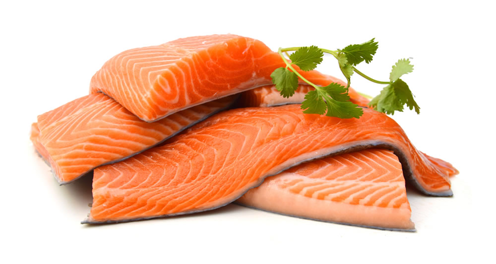 Salmon